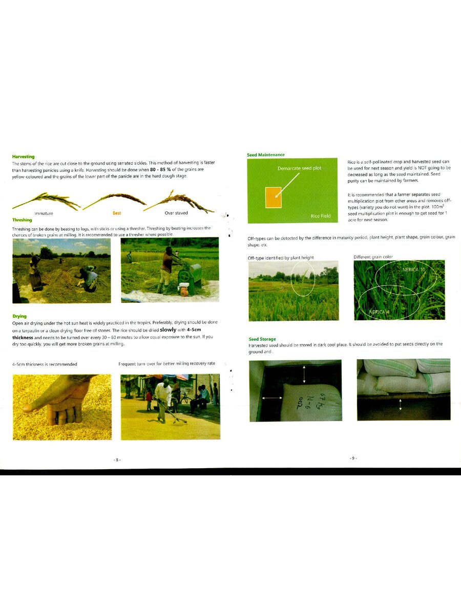 First page of Seed Maintenance