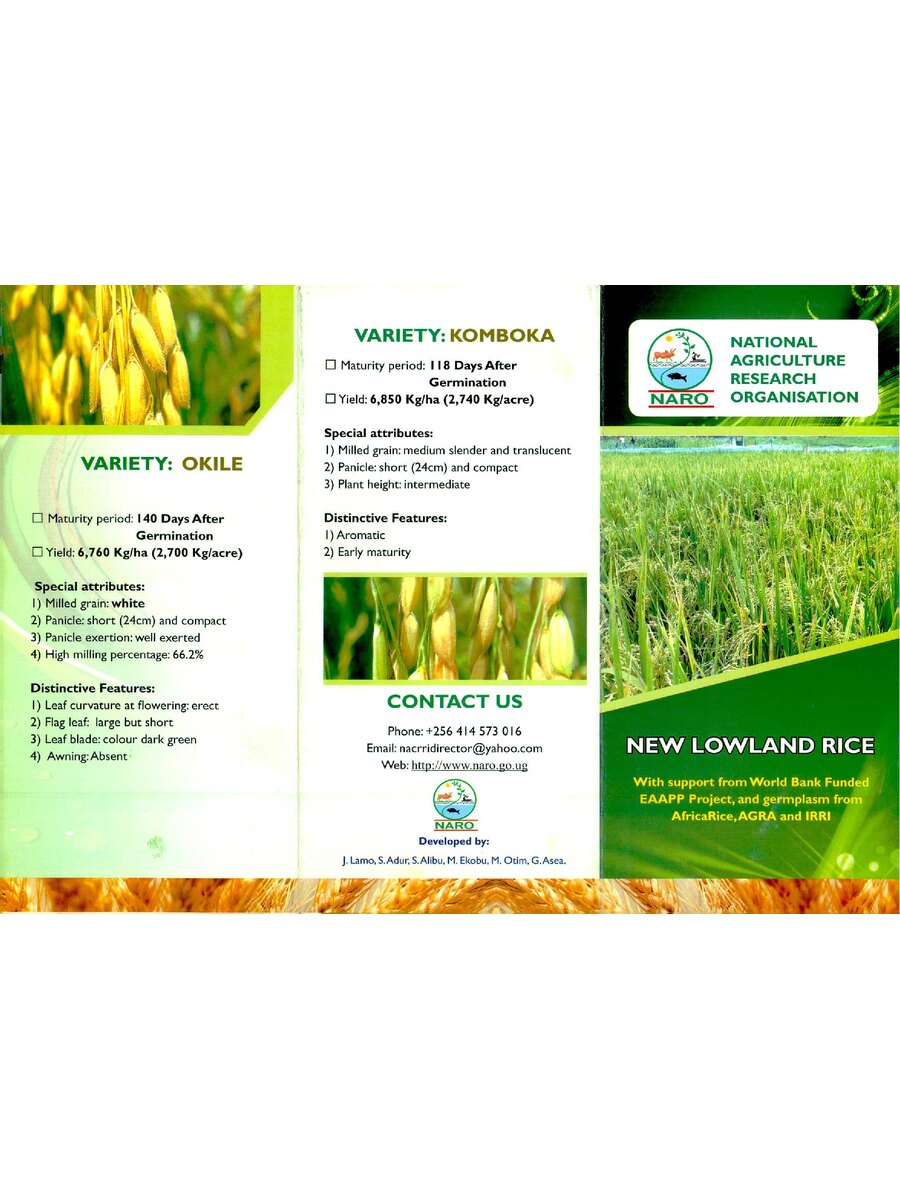 First page of New Lowland Rice