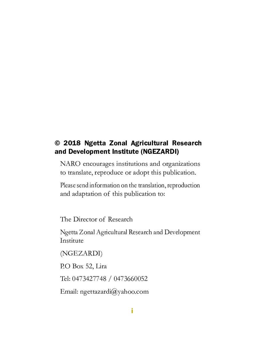 First page of Sorghum