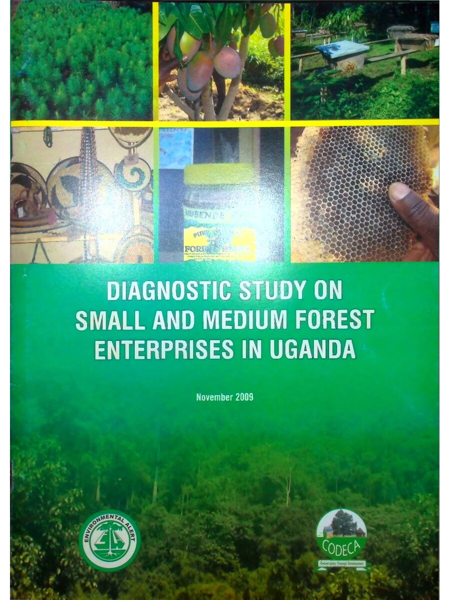 First page of Diagnostic Study on Small and Medium Forest Enterprises in Uganda