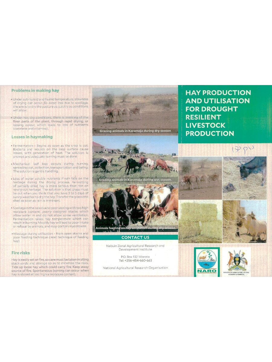 First page of Hay Production and Utilisation for Drought Resilient Livestock Production