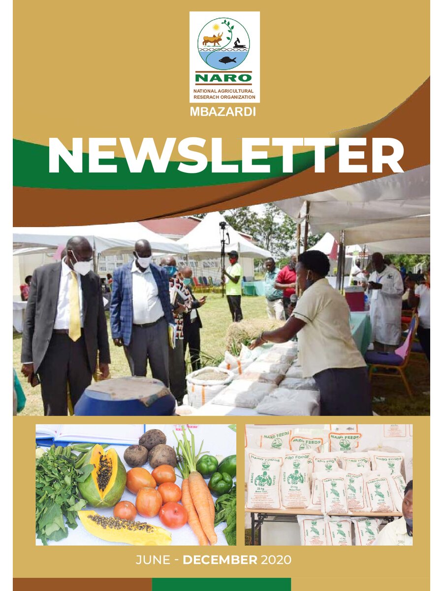 First page of MbaZARDI News Letter