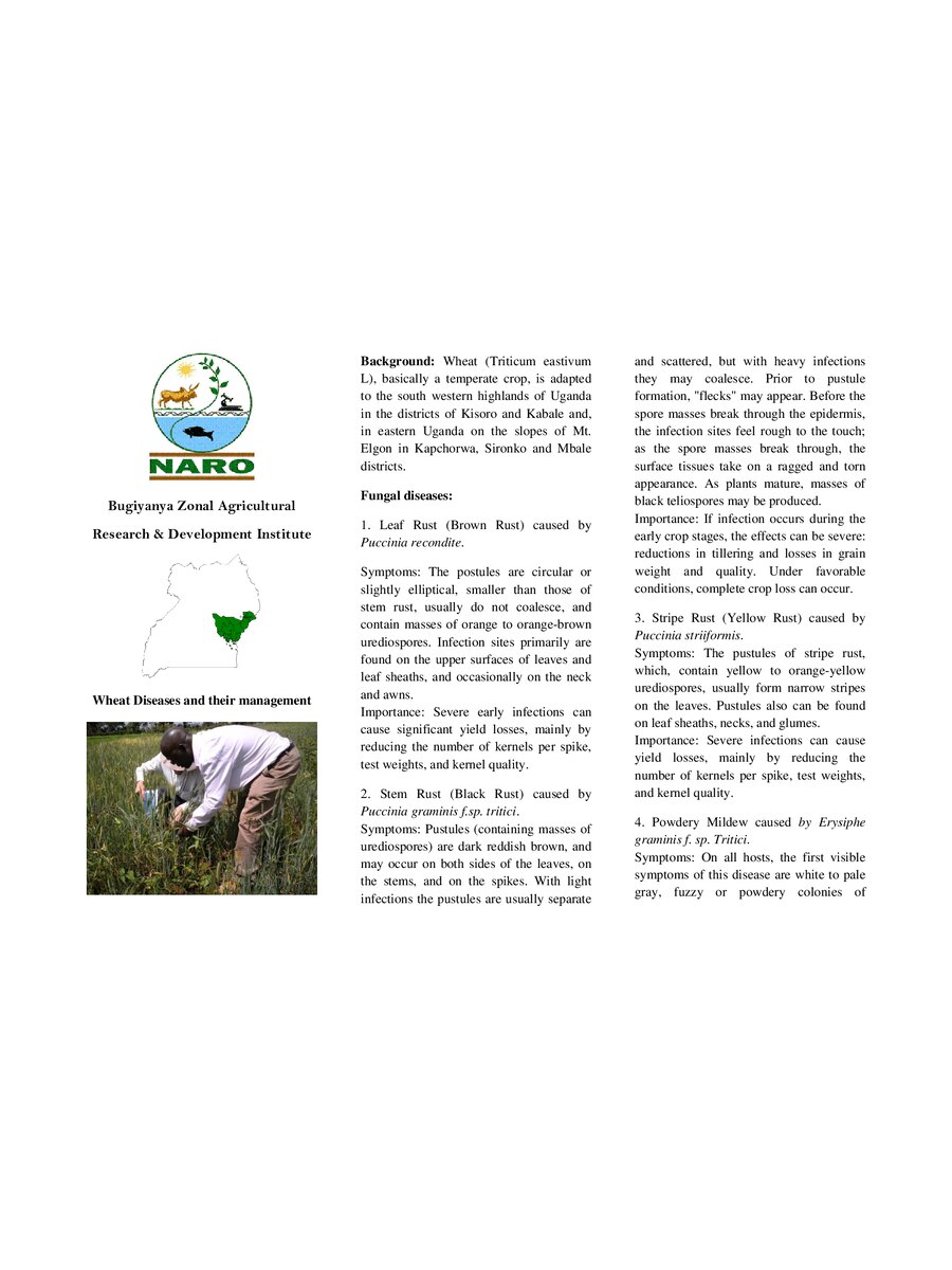 First page of Wheat Diseases and their Management