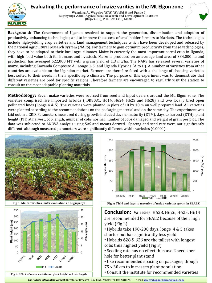 First page of Evaluating the Performance of Maize Varitiesin the Mt Elgon Zone