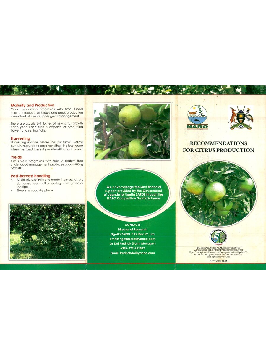 First page of Recommendations for Citrus Production