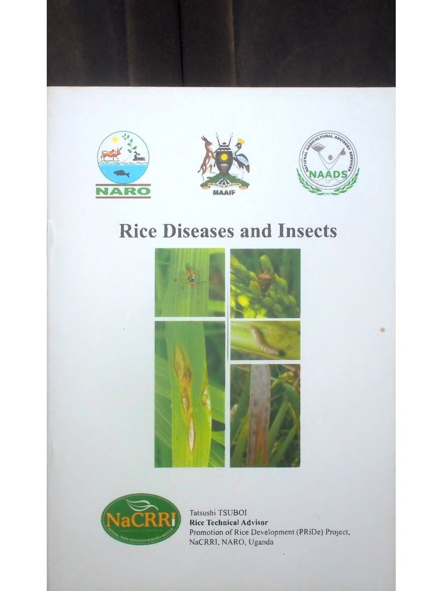 First page of Rice Diseases and Insects