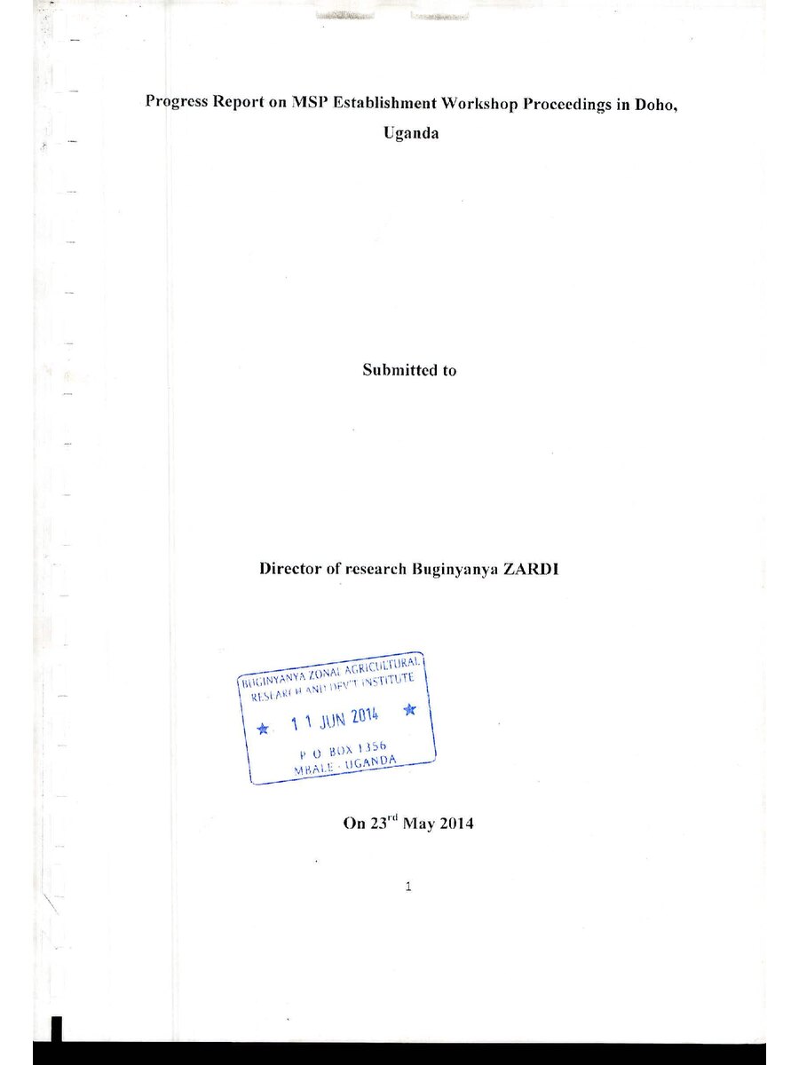 First page of Progress Report on MSP Establishment Workshop Proceedings in Doho