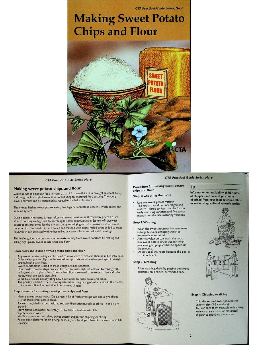 First page of Making Sweet Potato Chips and Flour