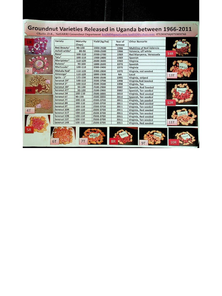 First page of Groundnut Varieties Released in Uganda between 1966-2011