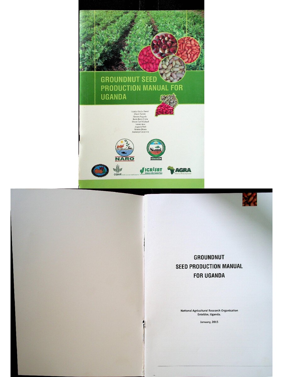 First page of Groundnut Seed Production Manual for Uganda