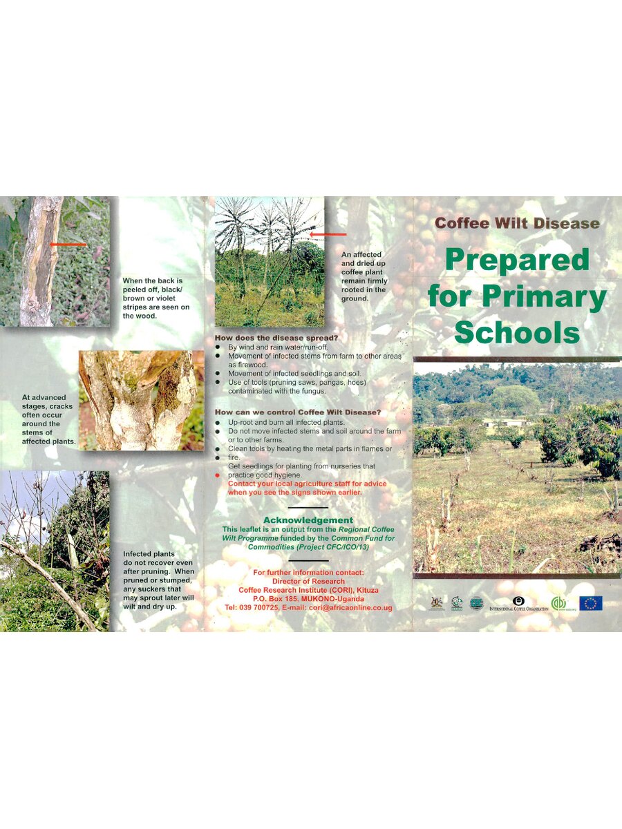 First page of Coffee Wilt Disease: Prepared For Primary Schools