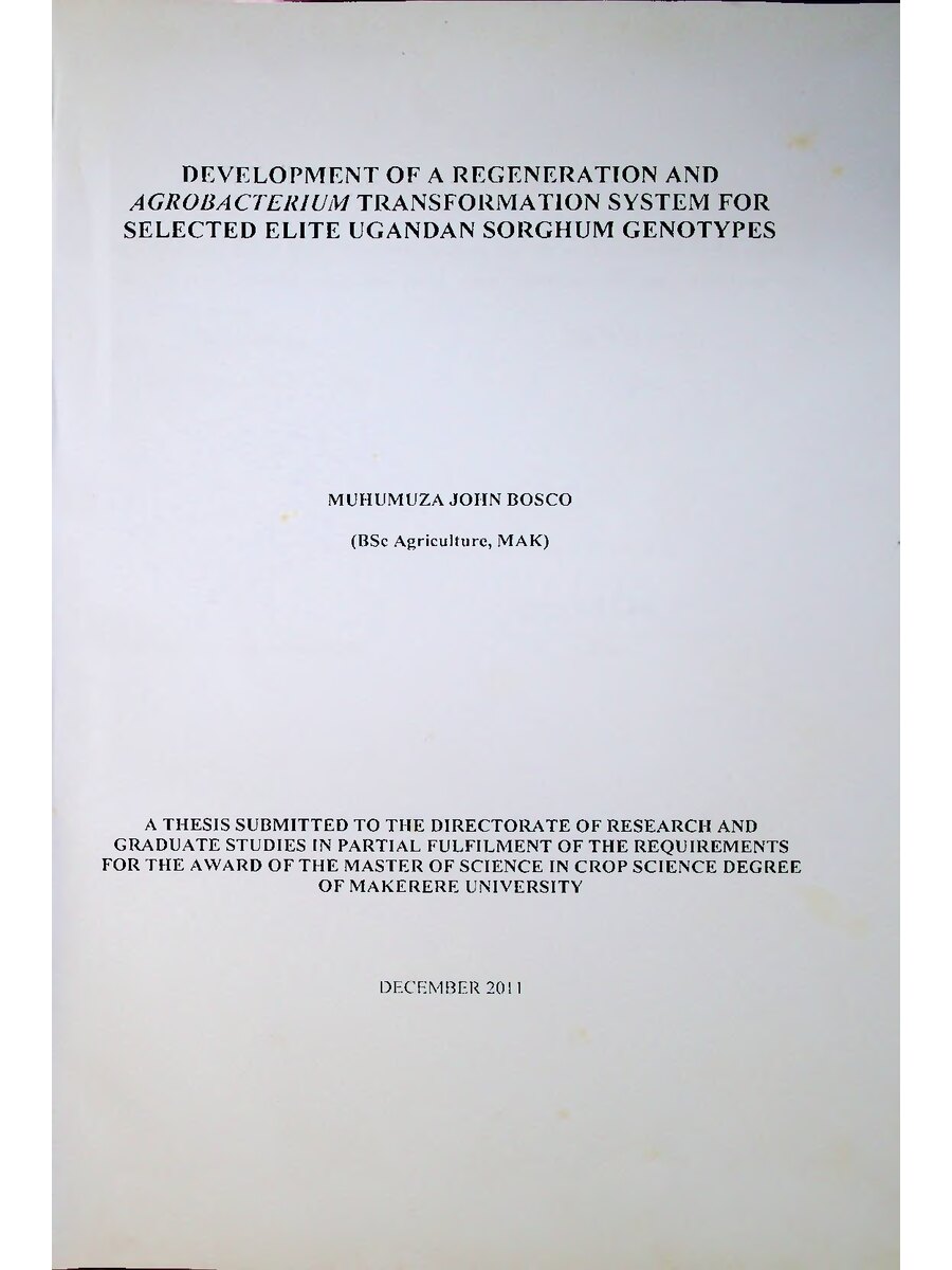 First page of Development of a Regeneration and Agrobacterium Transformation System for Selected Elite Ugandan Sorghum Genotypes