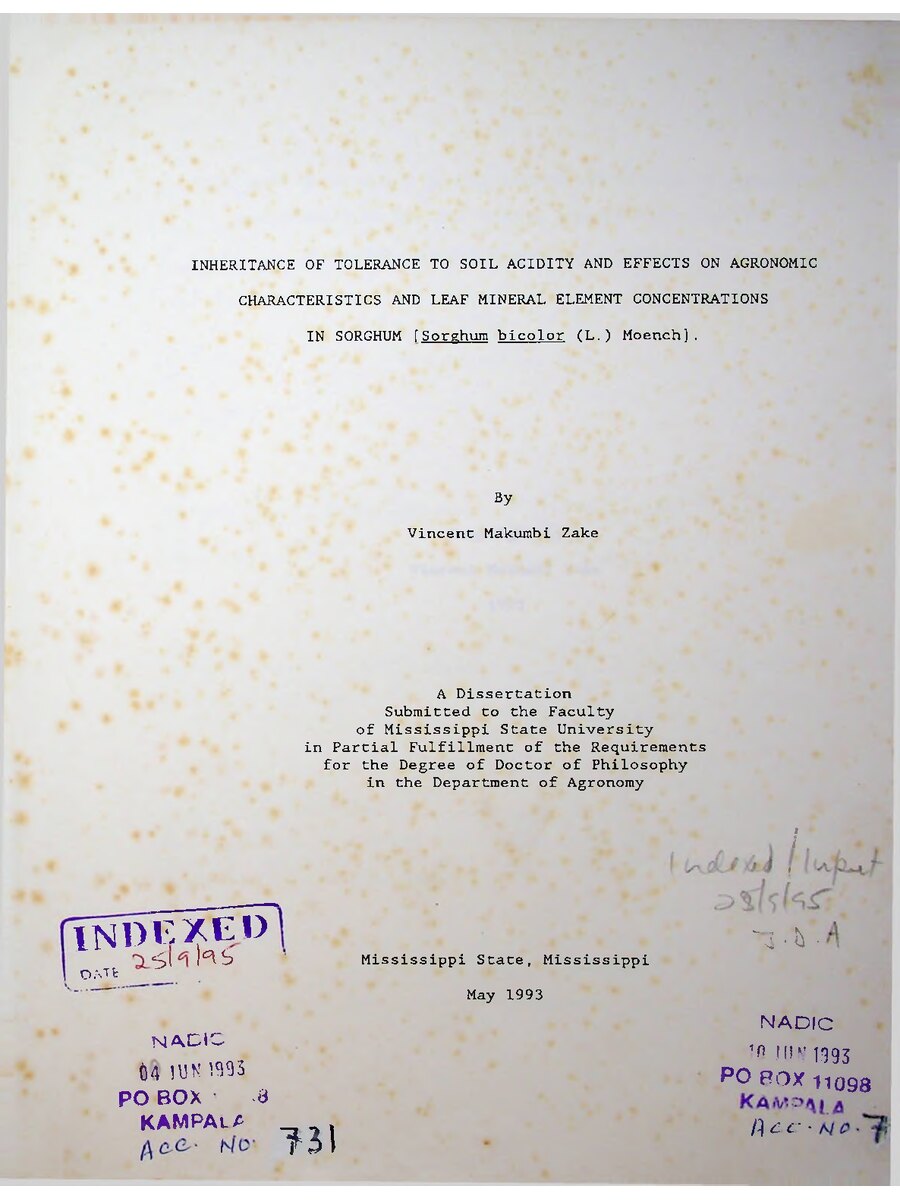 First page of Inheritance of Tolerance to Soil Acidity and Effects on Agronomic Characteristics and Leaf Mineral Element Concentrations in Sorghum [Sorghum bicolor (L.) Moench].