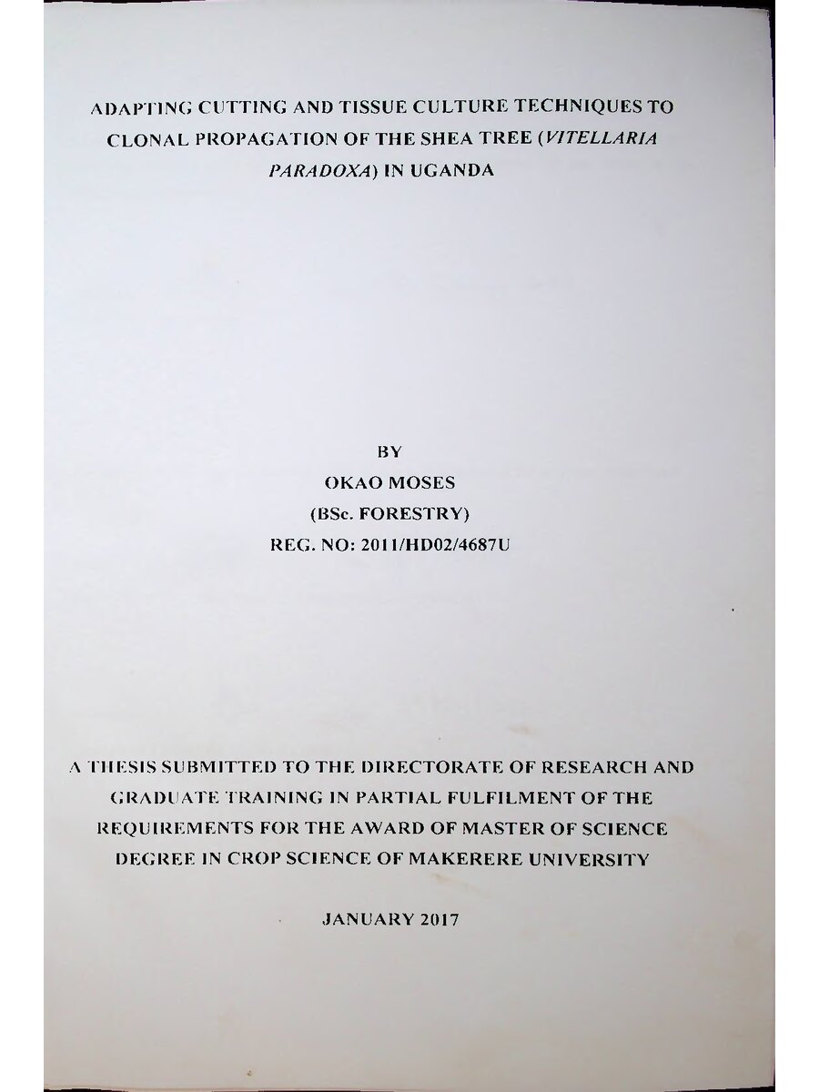 First page of Adapting Cutting and Tissue Culture Techniques to Clonal Propagation of the Shea Tree in Uganda