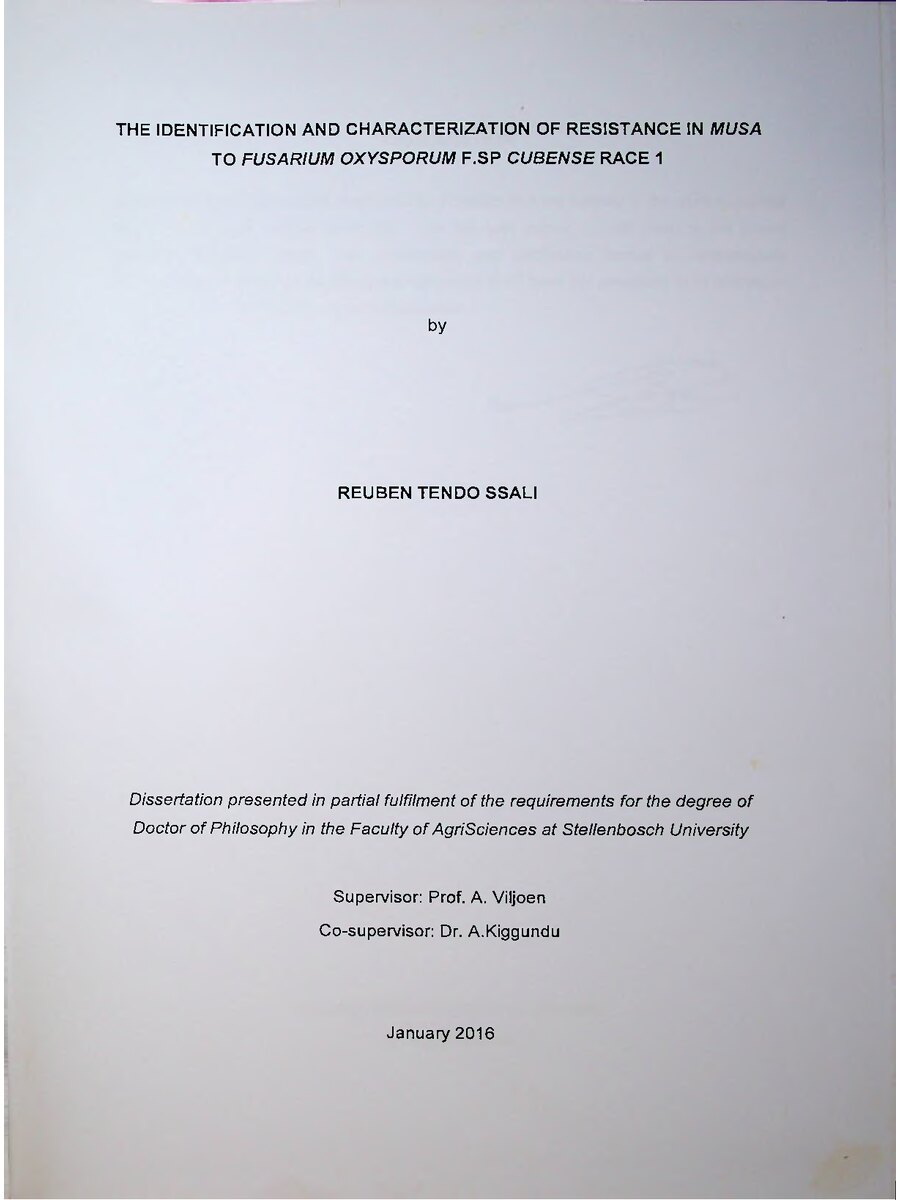 First page of The Identification and Characterization of Resistance in Musa to Fusarium Oxysporum F.SP Cubense Race 1