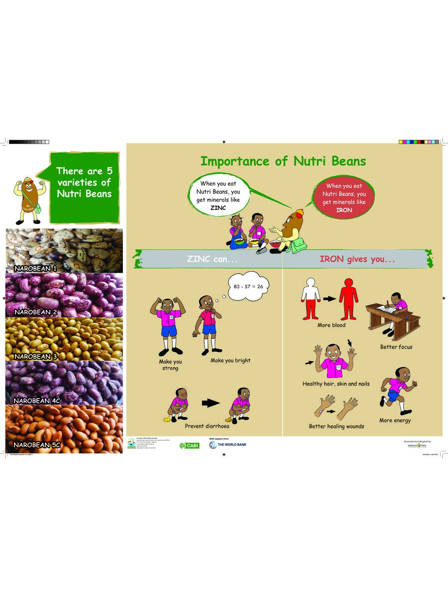 First page of Importance of Nutri Beans