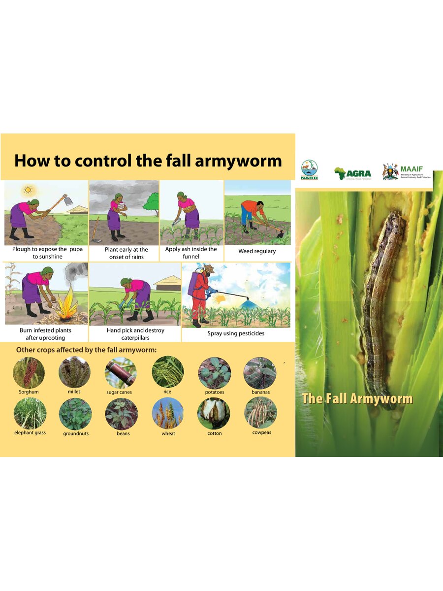 First page of How to Control the Fall Armyworm