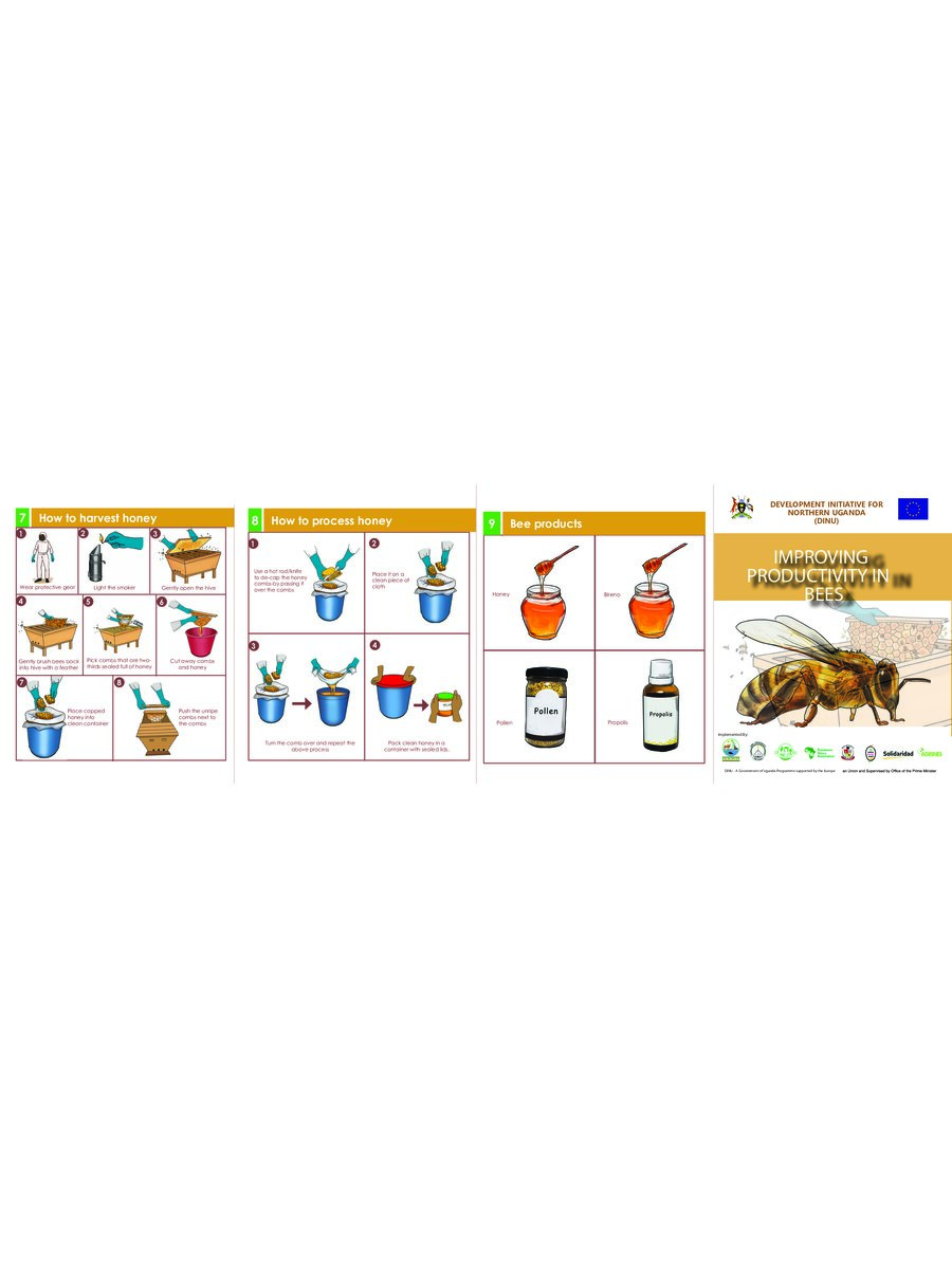 First page of Improving Productivity in Bees