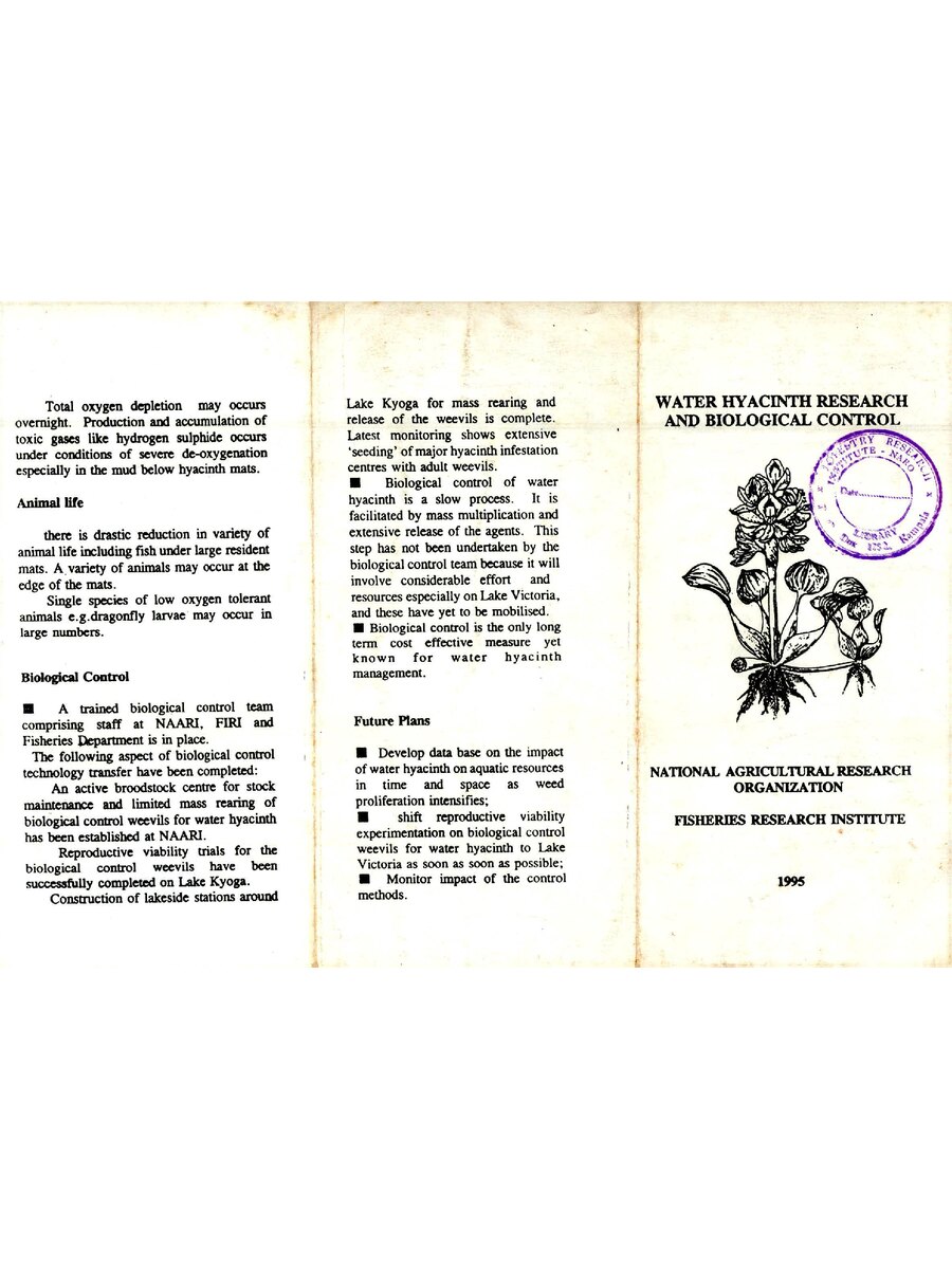 First page of Water Hyacinth Research and Biological Control