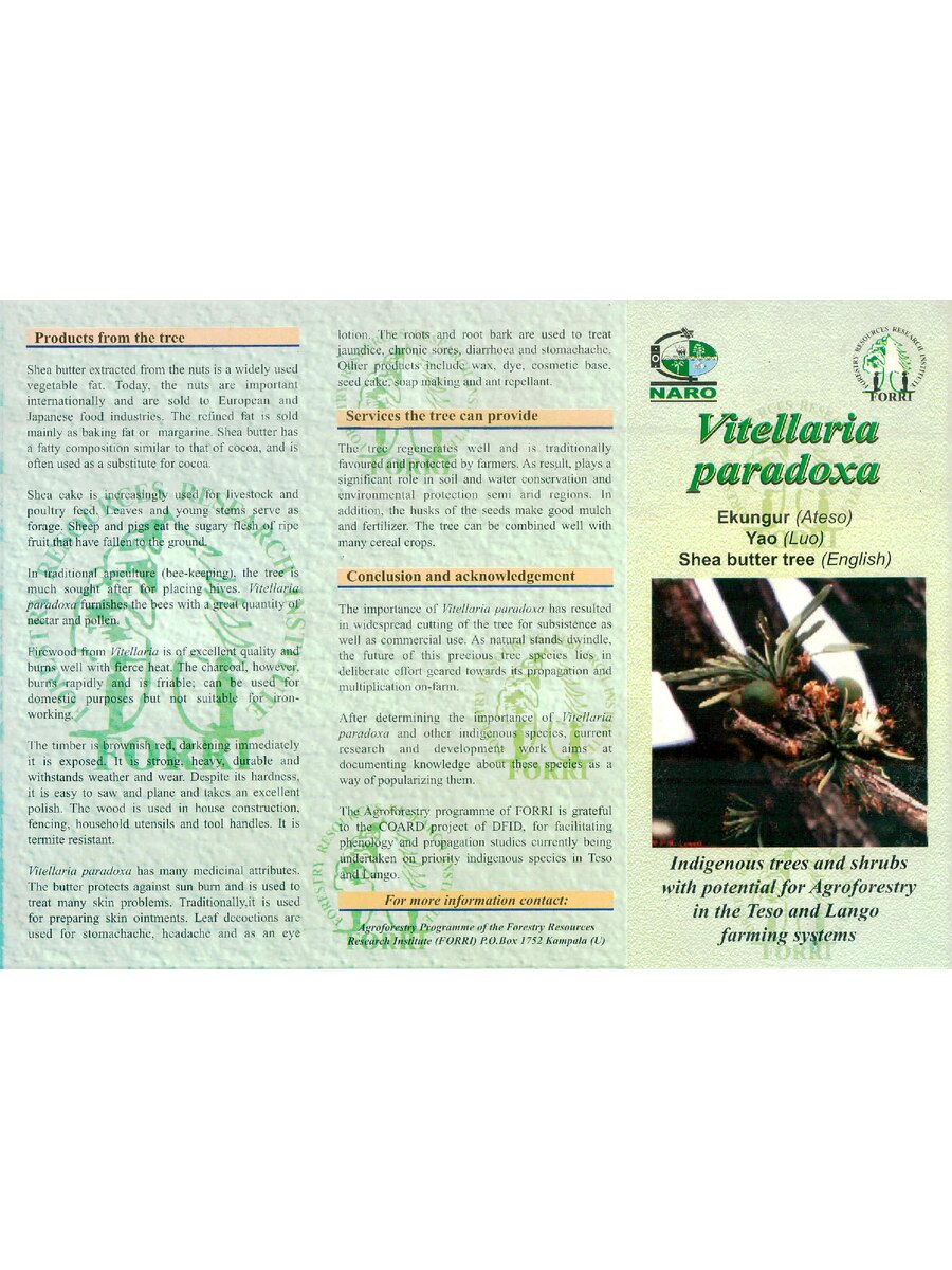 First page of Vitellaria Paradoxa: Indigenous Trees and Shrubs with Potential for Agroforestry in the Teso and Lango Farming Systems