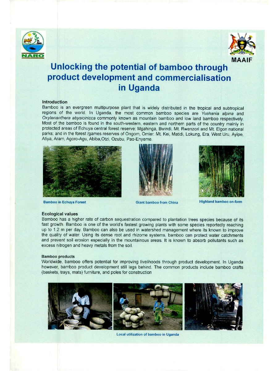 First page of Unlocking the Potential of Bamboo through Product Development and Commercialisation in Uganda
