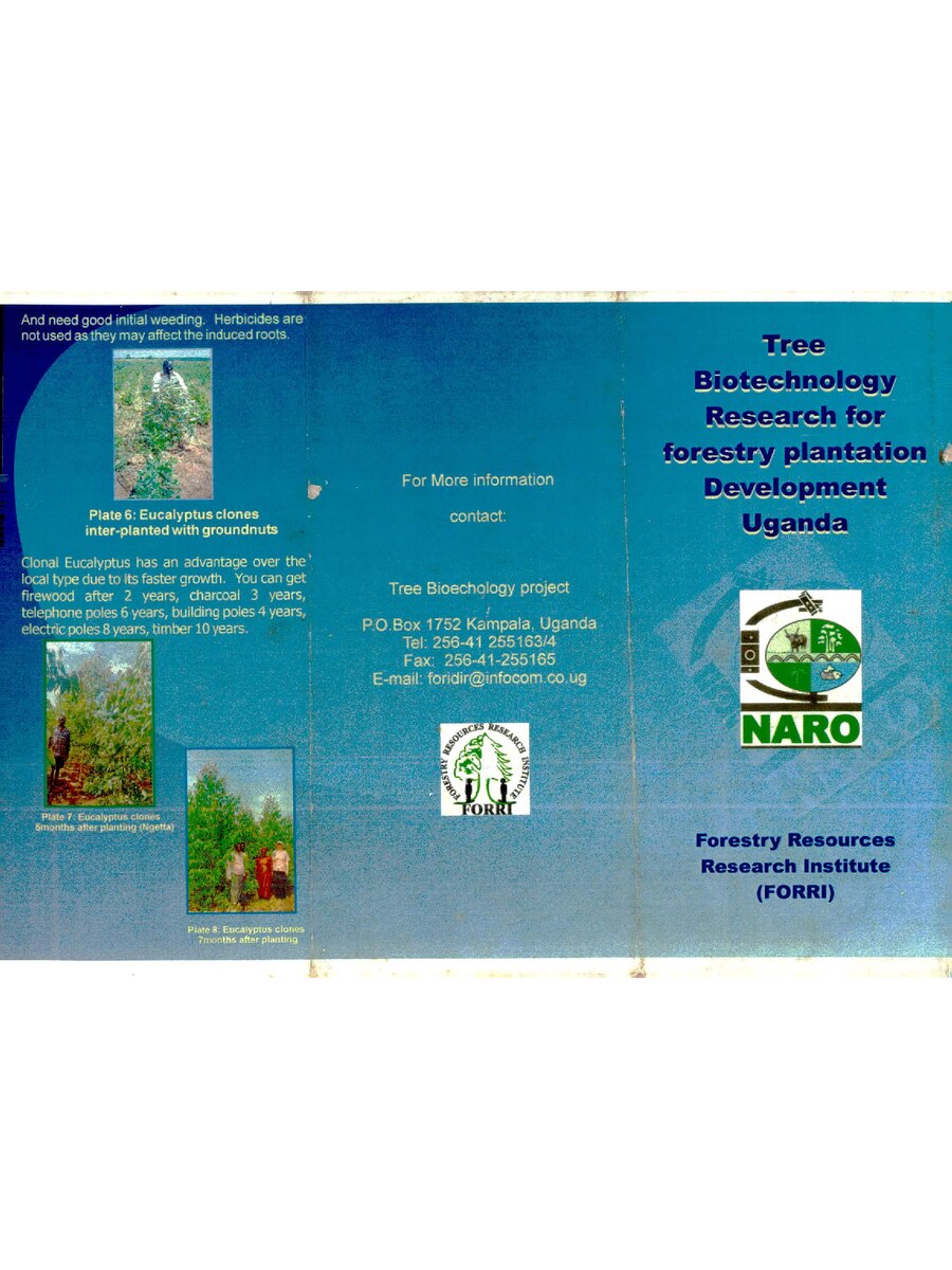 First page of Tree Biotechnology Research for Forestry Plantation Development Uganda