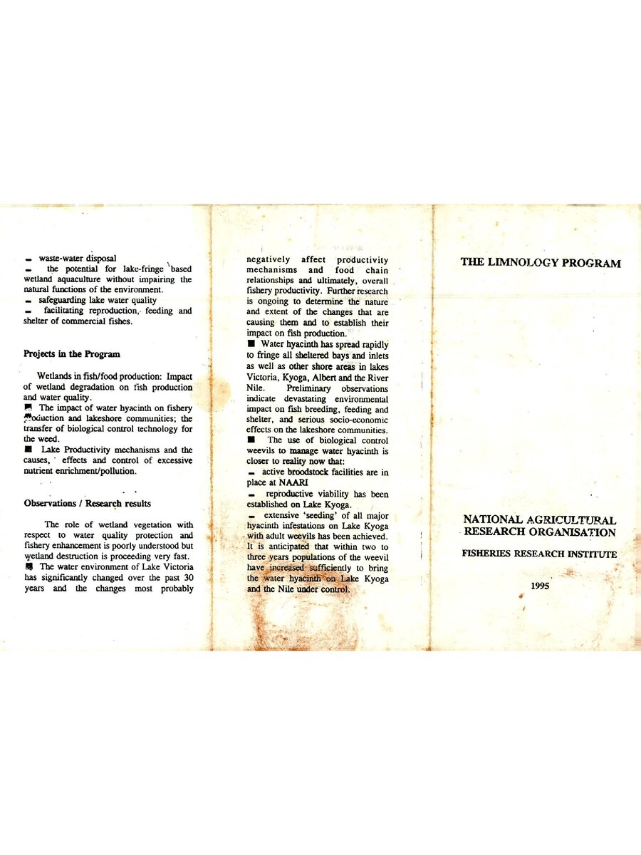 First page of The Liminology Program