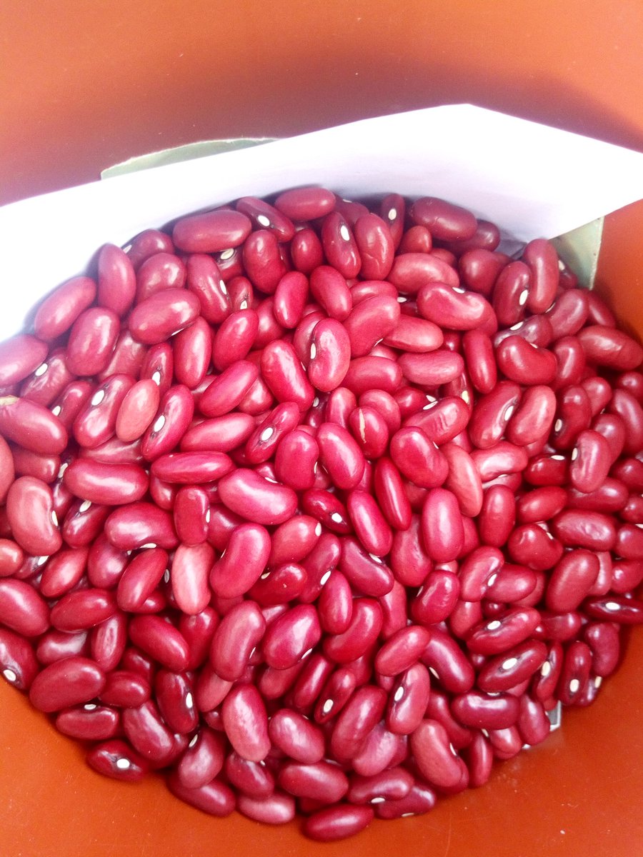 NARO Bean 6